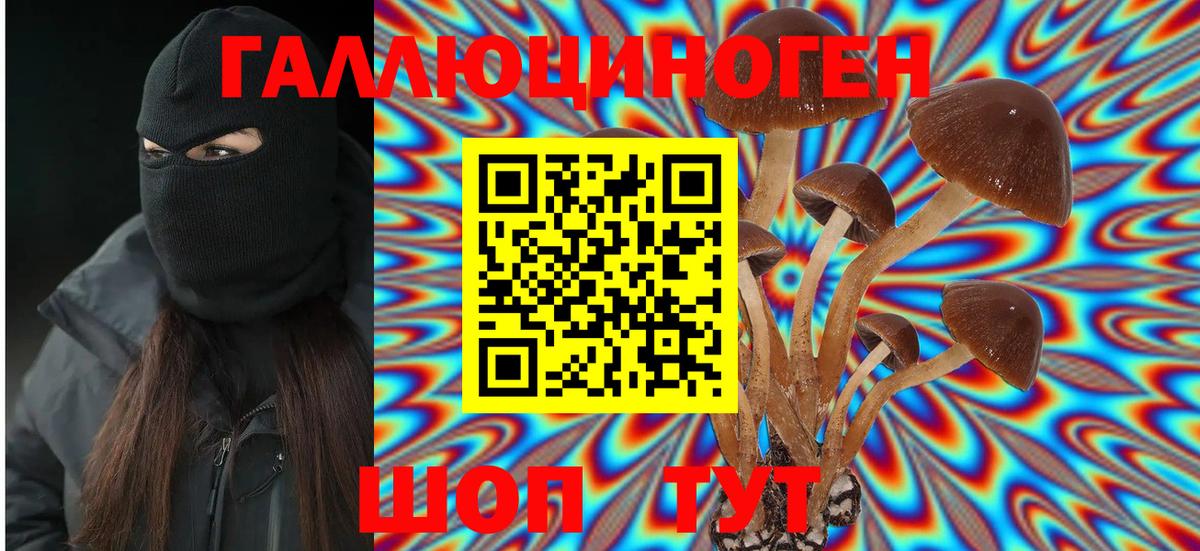Псилоцибиновые грибы прущие грибы Кировск
