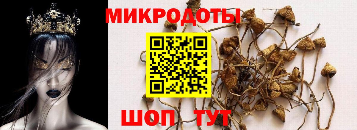 Амфетамин Кировск