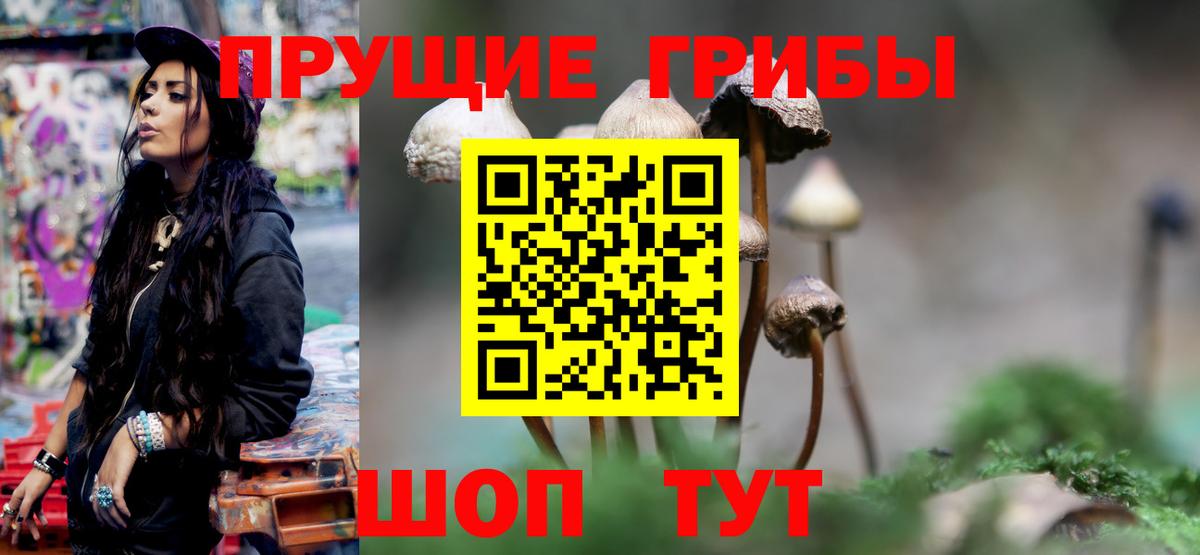 Галлюциногенные грибы MAGIC MUSHROOMS  Вход с VPN  Кировск 